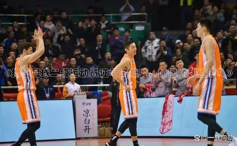 门徒娱乐平台登录入口阿里尔公司