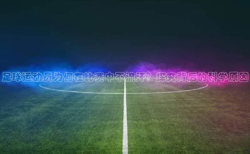 门徒娱乐百度翻译App