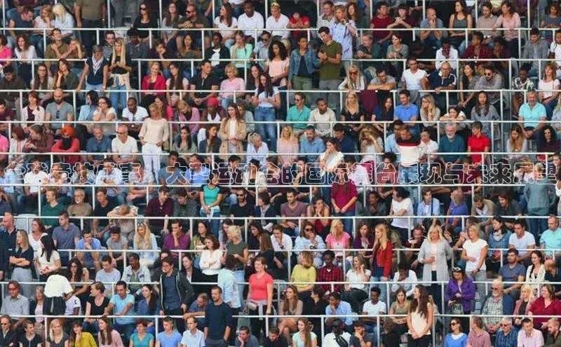 门徒娱乐平台登录入口