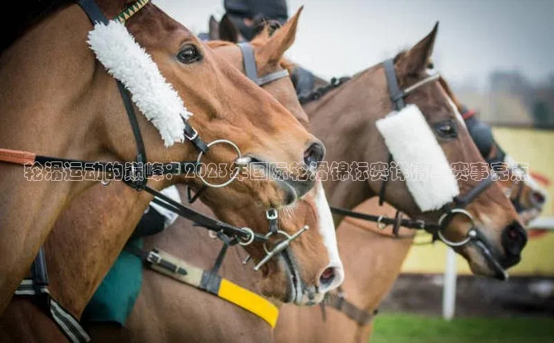 门徒娱乐平台登录入口