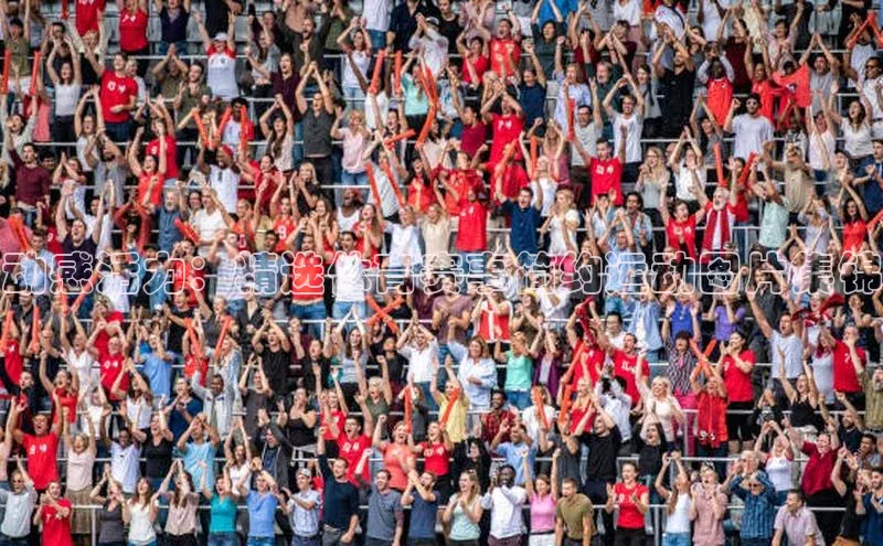 门徒娱乐平台登录入口