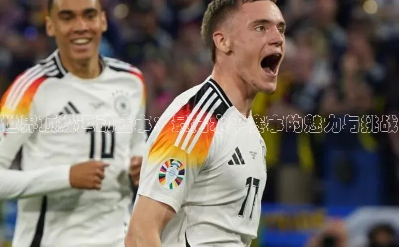 门徒娱乐平台登录入口