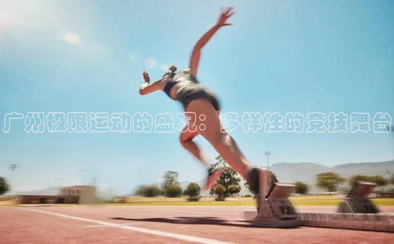 门徒娱乐登录